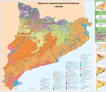 Boscos que neixen de camps